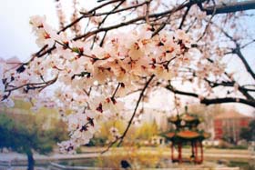 北京交通大學(xué)2019年MBA提前面試第三批申請(qǐng)中
