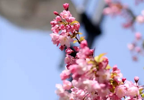 不可錯(cuò)過(guò)的2018MBA聯(lián)考華東理工大學(xué)考點(diǎn)繳費(fèi)及現(xiàn)場(chǎng)確認(rèn)辦法