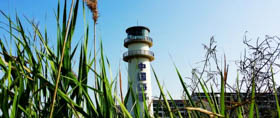重要通知 | 上海海事大學MBA項目2019年入學復試分數(shù)線確定