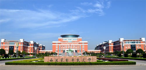 西北農(nóng)林科技大學(xué)2020年非全日制MBA調(diào)劑通知