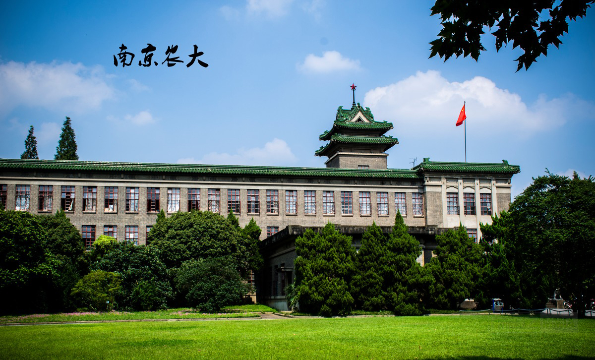 南京農(nóng)業(yè)大學(xué)師生積極采用網(wǎng)絡(luò)模式推進研究生學(xué)位論文預(yù)答辯工作