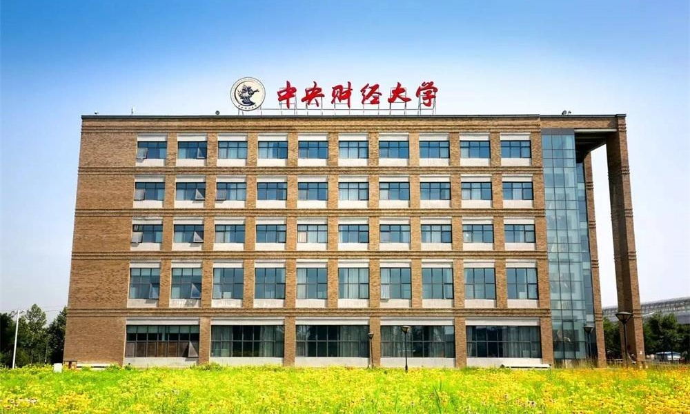 中財MBA人物｜王瑩：不斷向上，做一個擁抱變化的人