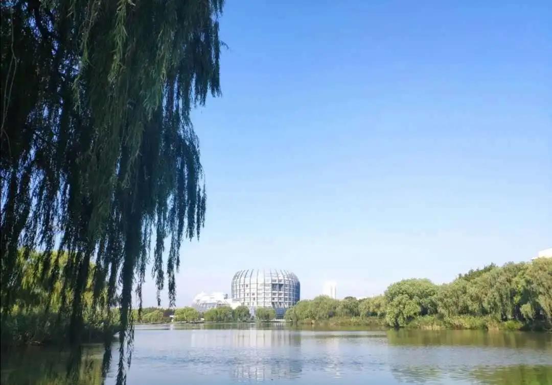 快來(lái)get！東華大學(xué)2022年工商管理碩士（MBA）招生簡(jiǎn)章
