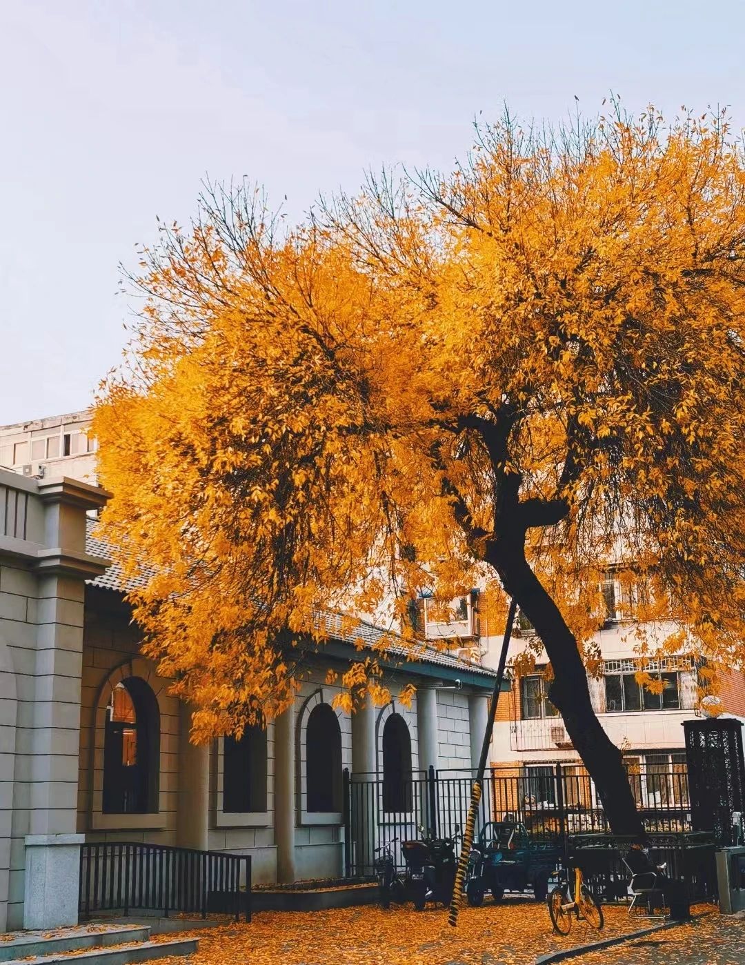 北京理工大學(xué)管院【備考故事】篤行逐夢，不負(fù)韶華