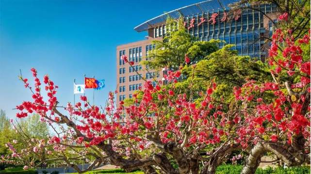 招生 | 北京工業(yè)大學(xué)2025年MBA 項目綜合測評開放日面試方案（第五期）