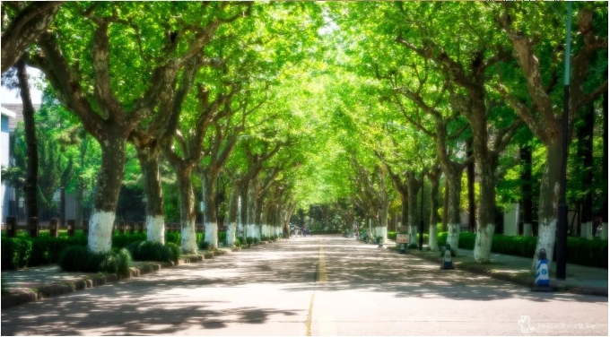 華東理工大學(xué)商學(xué)院2025級金融碩士(MF)獎助學(xué)金方案