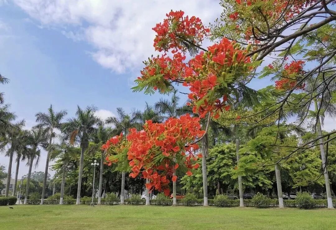 汕頭大學(xué)商學(xué)院2026年MBA報考點網(wǎng)報公告