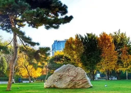 1762164430662035.jpg 2.jpg